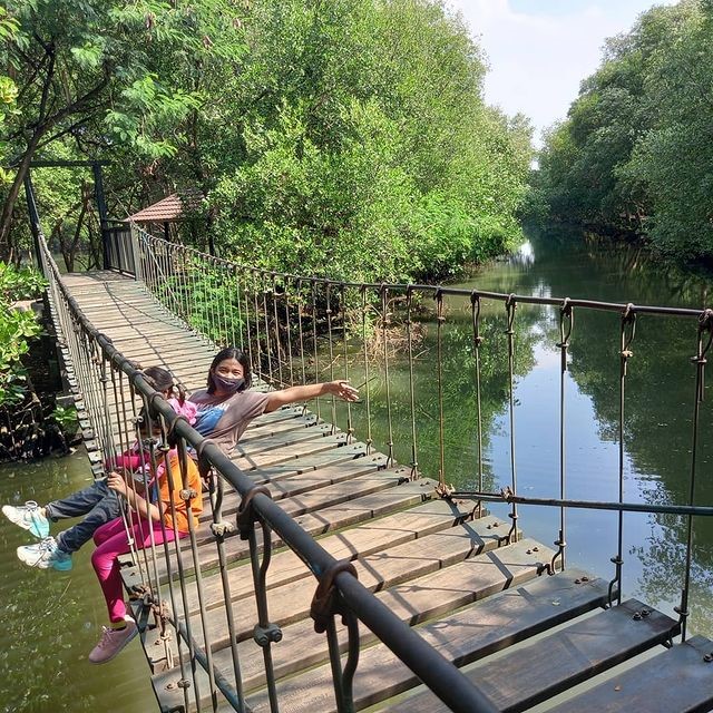 Menikmati Indahnya Hutan Mangrove Di Desa Muara Teluk Naga INFO