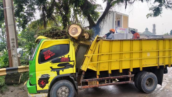 Pohon tumbang menimpa truk yang sedang melintas.Ist