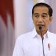 Presiden Jokowi ungkap Pembangunan IKN Baru 15 Persen/Foto:dok