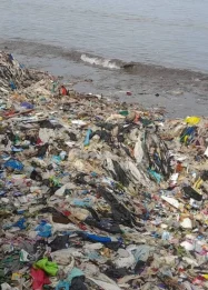 Pantai Teluk Penuh Sampah Lagi
