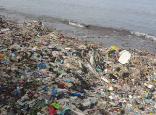 Pantai Teluk Penuh Sampah Lagi