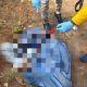 Kronologi penemuan mayat dibungkus sarung di Pondok Benda Pamulang Tangerang Selatan, Foto: Tangselife/AndrePradana