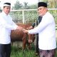Sekertaris Daerah (Sekda) Kabupaten Tangerang, Moch Maesyal Rasyid menyalurkan hewan kurban untuk dibagikan kepada masyarakat.