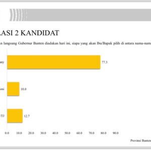 Elektabilitas Airin Rachmi Diany Tertiggi Berdasarkan Survey LSI di Pilgub Banten 2024