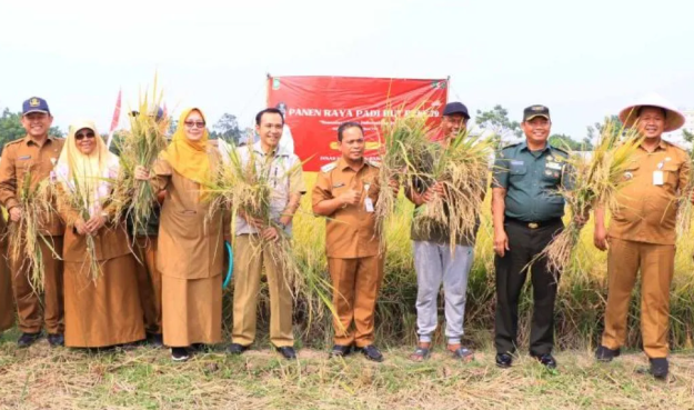 Lahan Pertanian Terbatas, Petani di Kota Tangerang Berhasil Produksi 750 Ton Padi