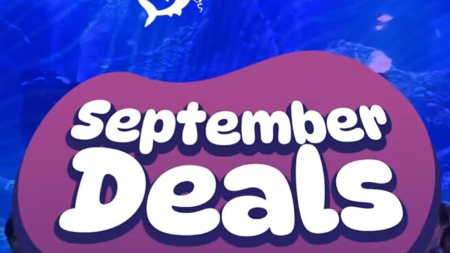 BXSea Tawarkan Promo September Deals Hingga Diskon 50 Persen