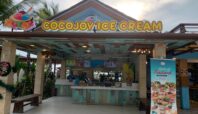 cocojoy ice cream