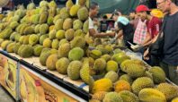 Manfaat Durian untuk Redakan Berbagai Penyakit