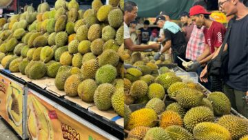 Manfaat Durian untuk Redakan Berbagai Penyakit