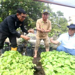 Ketua PWI Pusat Apresiasi Program Wartawan Menanam di Kalimantan Selatan