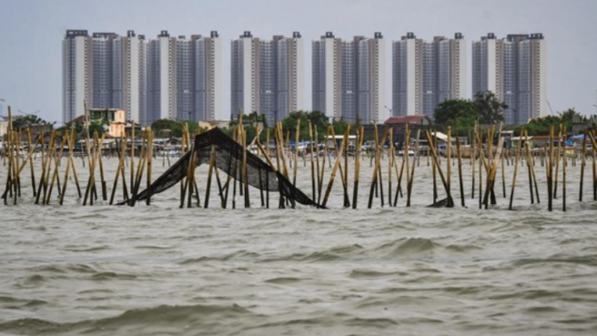 Pagar Laut Pesisir Tangerang