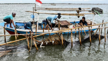 Pembongkaran Pagar Laut Tangerang