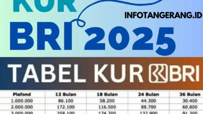 tabel angsuran kur bri 2025