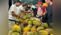 Tips Memilih Durian/Foto:Cucu Rosana/Infotangerang.id