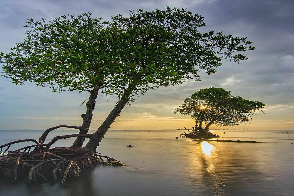 rekomendasi wisata laut di tangerang