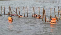 pembongkaran pagar laut tangerang