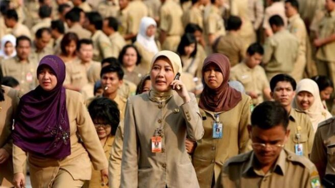 pns wanita