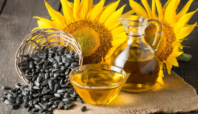 Sunflower Oil