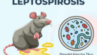 Waspada Leptospirosis di Musim Hujan