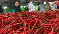 ⁠Harga Pangan Pokok Pertengahan Ramadhan 2025. Cabai Merah Keriting Rp35-50 ribu/Kg Foto: Nadia-Infotangerang,id