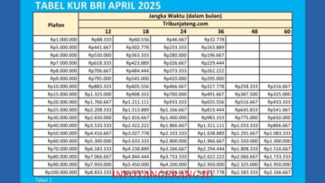 TABEL ANGSURAN KUR BRI 2025