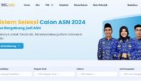 Pengumuman kelulusan PPPK 2024 Tahap 2
