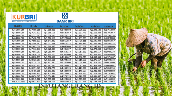 tabel angsuran kur bri 2025