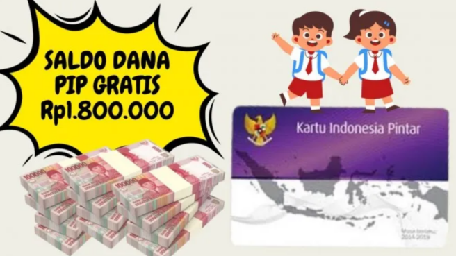 Saldo Dana PIP