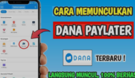 DANA Paylater untuk Hasilkan Saldo DANA Gratis