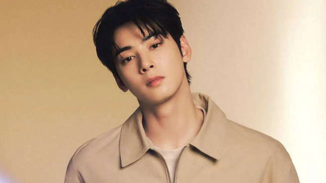 cha eun woo