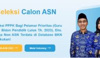Pengumuman kelulusan PPPK 2024 Tahap 2