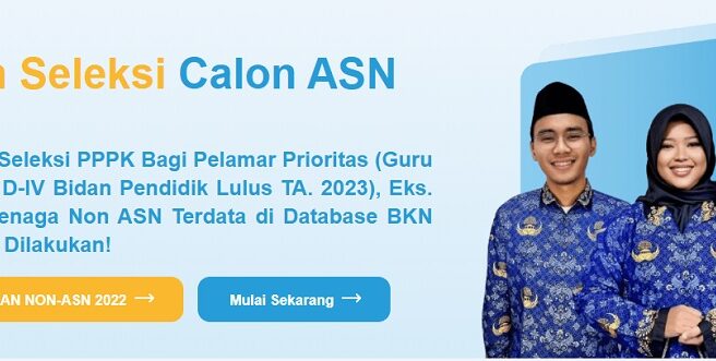 Pengumuman kelulusan PPPK 2024 Tahap 2