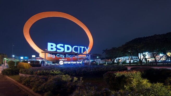 Bsd1