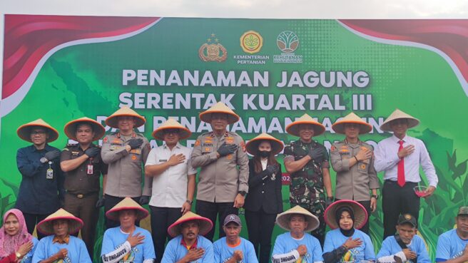 Dukung Swasembada Pangan Nasional, Polda Metro Jaya Tinjau Langsung Lahan Tanam Jagung di Serpong