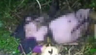 mayat wanita terborgol dan membusuk di Cisauk-Tangerang