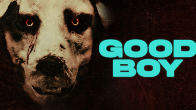 film good boy
