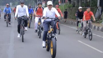 IMG 3554