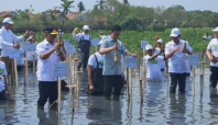 Gibran Ikut Aksi Penanaman Mangrove di Tangerang, Tekankan Pentingnya Dana Rehabilitasi Lingkungan Nasional 2 penanaman mangrove di tangerang