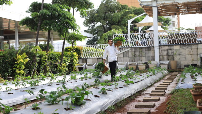 Ruang hijau di atas hotel Novotel Tangerang