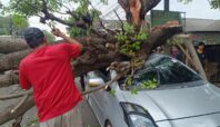 Pohon tumbang di Ciputat menimpa mobil yang ditumpangi seorang ibu dan anak.