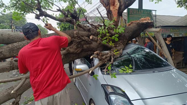 Pohon tumbang di Ciputat menimpa mobil yang ditumpangi seorang ibu dan anak.