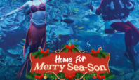 Pertunjukan Natal Bawah Laut di BXSea Bintaro