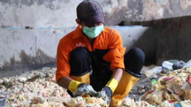 Budidaya Maggot di Kota Tangerang