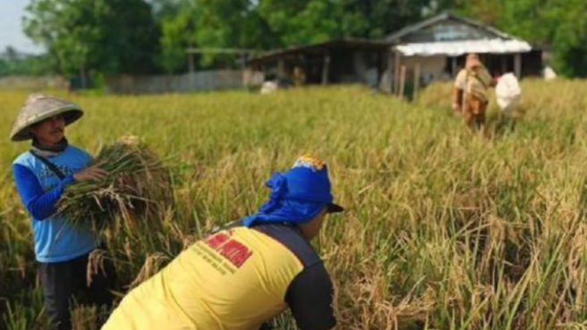 Peran Kelompok Tani di Kota Tangerang