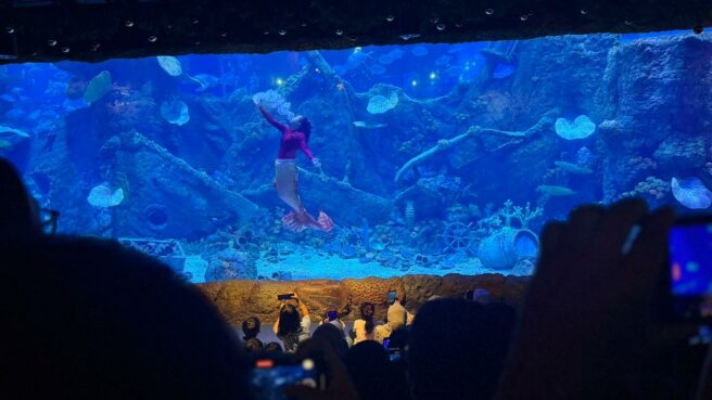 Event menarik di BXSea selama libur Nataru