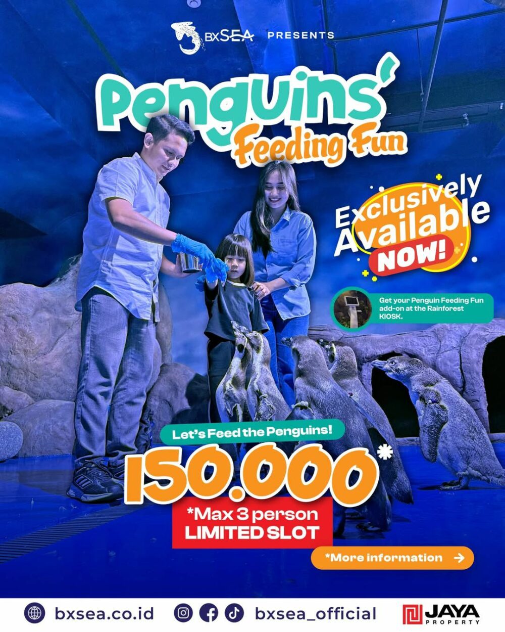 Libur Nataru, BXSea Sajikan Penguin Feeding Fun hingga Atraksi Underwater 3 Event menarik di BXSea selama libur Nataru