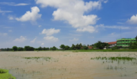 sawah di Kabupaten Tangerang