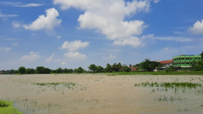 sawah di Kabupaten Tangerang